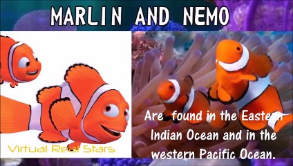 Finding Dory REAL LIFE All Characters - fakta fakta tentang karakter di film nemo