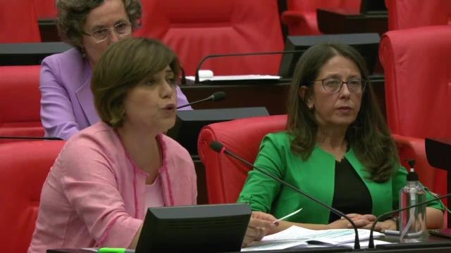 Meral Danış Beştaş: Danıştay'dayken ve 'Sözleşme Yaşatır, İstanbul Sözleşmesi'nden Vazgeçmiyoruz' Derken Bir Kadın Daha Saldırıya Uğradı