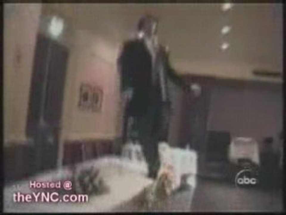 les gamelles les plus drole