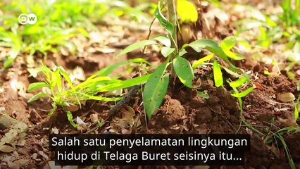 Menjaga Sumber Air Lewat Mitos di Telaga Buret yang Penuh Mistis