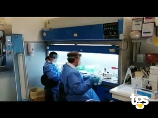 Covid, in Sicilia sbarca la variante Omicron 5: i primi casi a Palermo