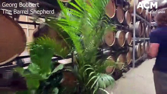 The Barrel Shepherd has finally opened with beer on tap | June 7, 2022 | Illawarra Mercury