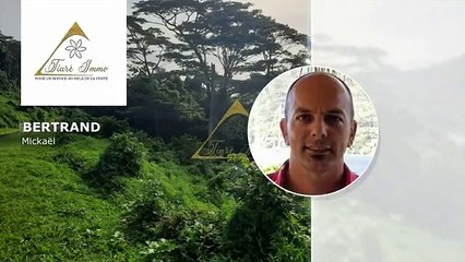 Terrain en vente vue lagon 19600000 CFP à Moorea