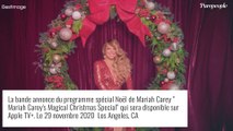 Mariah Carey poursuivie en justice : des dizaines de millions de dollars en jeu !