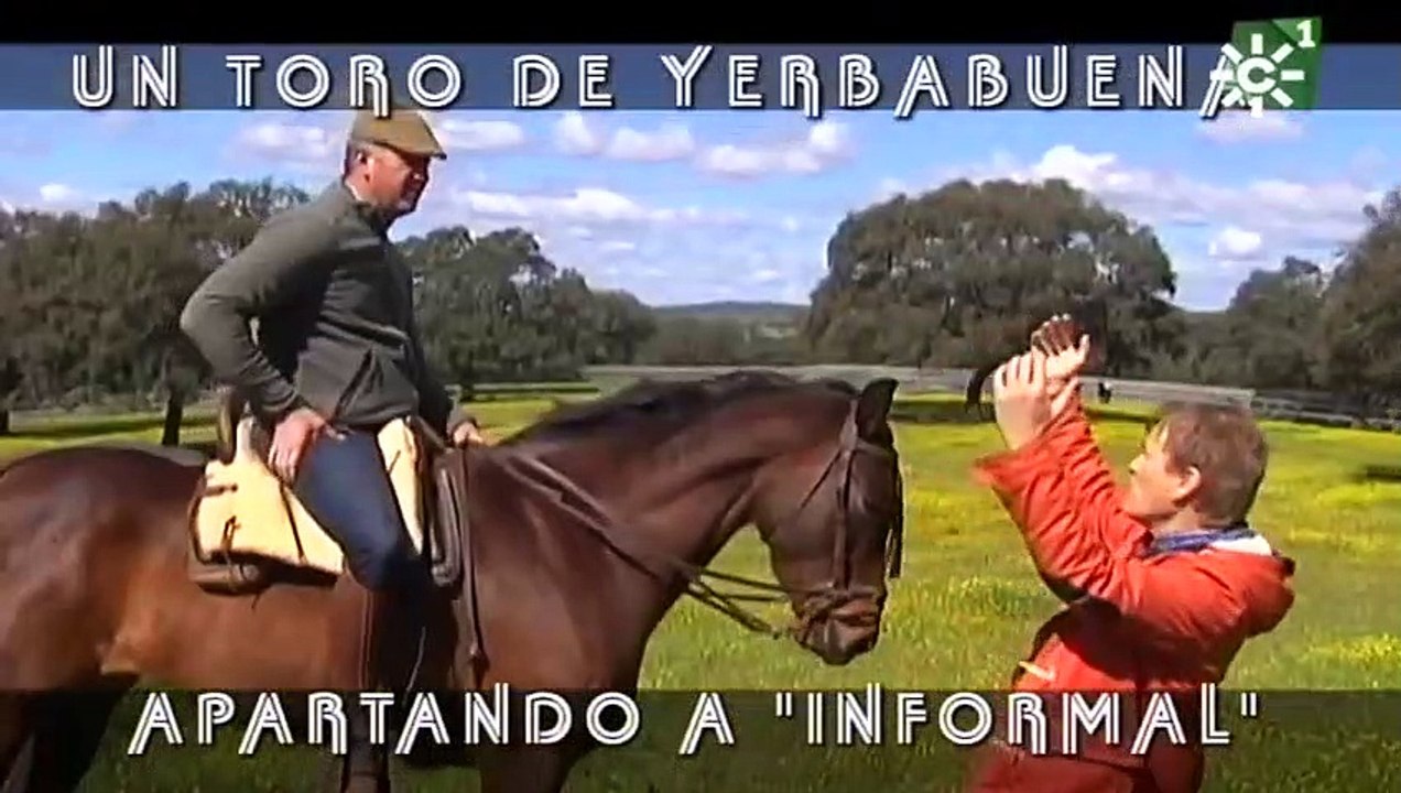 ᐈDébarquement ❤ Corrida Toros➜Valencia, 【Bous a la Mar Denia】Toro Raton ✓Toros para todos Canal Sur✓Toros Bravos, Toros Cerriles☎️Toros Embolados, Toros de corro,Gas Gas Gas, Toros Capones, El Toro en el Campo, Desencajonadas de toros, Concursos de Artes,