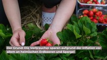 Wegen Inflation: Verbraucher sparen an deutschen Erdbeeren und Spargel
