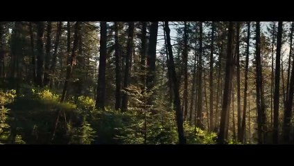 PREY Bande Annonce Internationale (2022) Predator 5