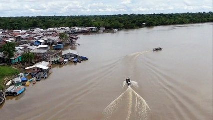 Mulher de Dom Phillips: 'por favor intensifiquem essas buscas'