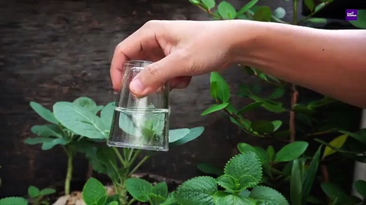 33_AMAZING_SCIENCE_EXPERIMENTS%21_Compilation___Best_of_the_Year(360p)