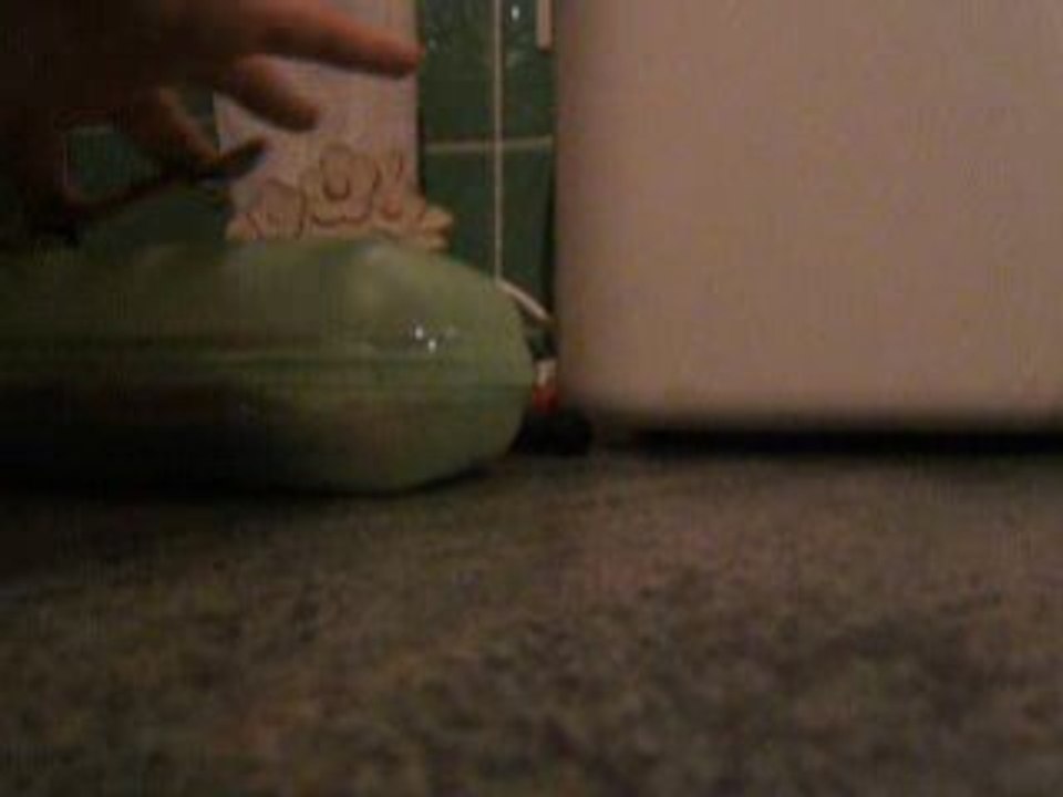 olli en fingerboard