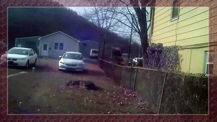 Thanksgiving Day 2021 l Foodand Health l People and blogs