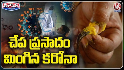No Fish Prasadam Distribution In Hyderabad This Year Too _ V6 Teenmaar