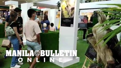 Mall goers flock at the Philippine Eagle exhibition in Davao City