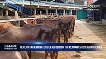 Pemerintah Kabupaten Bekasi Bentuk TIM Pengawas Kesehatan Hewan