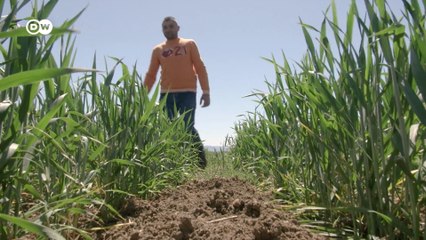 रोटी या सोलर एनर्जी, यूक्रेन युद्ध ने दुविधा में डाला