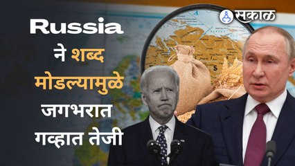 जगभरात गव्हाच्या दराचा भडका का उडला ? । Wheat Price । America । Wheat Export | Sakal Media |