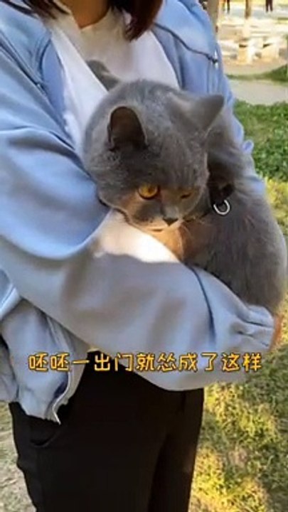 Baby Cats - Cute and Funny Cat Videos Compilation , Aww Animals Video, EP (1)