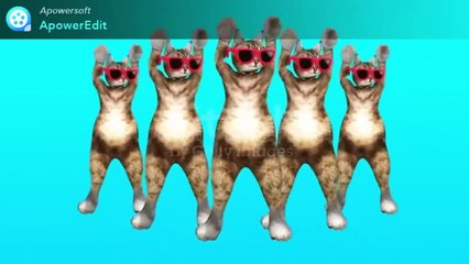 Mama Muda, Kucing Bergoyang lagu mama muda 2022