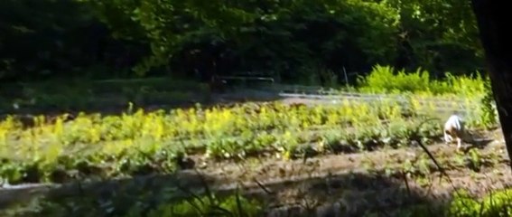 Chefs Table S04 E01
