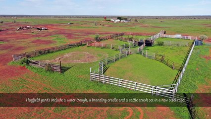 Hayfield, Jundah | June 2022 | Queensland Country Life