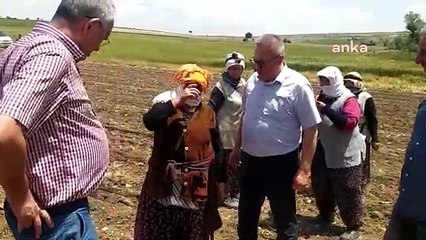 Uşaklı kadının feryadı: Yetim çocuğum, yarım kilo kayısı alamadım diye bir hafta ağladı; bizi duysunlar, görsünler