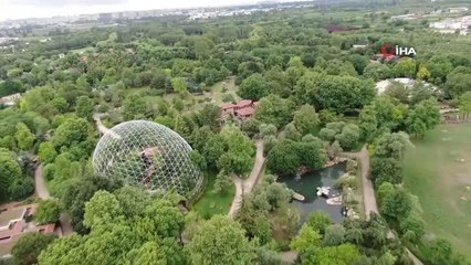 Öğrenciler lemurları elleriyle besledi