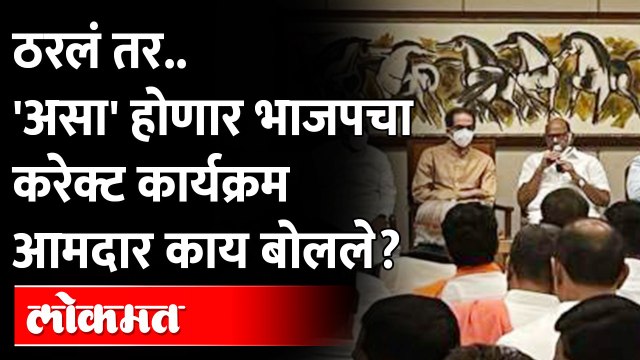 ठरलं तर.. 'असा' होणार भाजपचा करेक्ट कार्यक्रम आमदार काय बोलले?