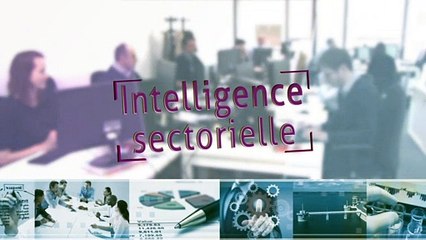 Formation professionnelle : les nouvelles attentes des entreprises [Cathy Alegria]