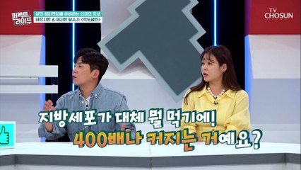 허리둘레가 4.4cm 감소 초유 성분 락토페린의 효능 TV CHOSUN 20220608 방송