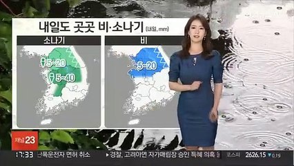 [날씨] 밤까지 내륙 소나기…내일까지 더위 주춤