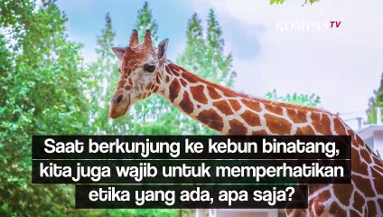 Enggak Boleh Sembarangan, Begini lho Etika Mengunjungi Kebun Binatang