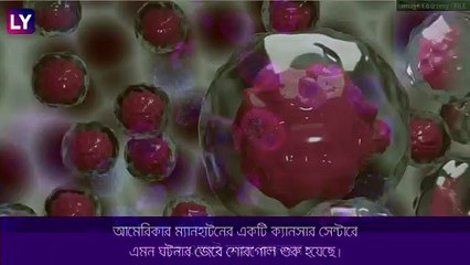 Cancer Drug: এক ওষুধেই উধাও ক্যানসার, যুগান্তকারী  চিকিৎসার অঙ্গ ভারতীয় নিশাও