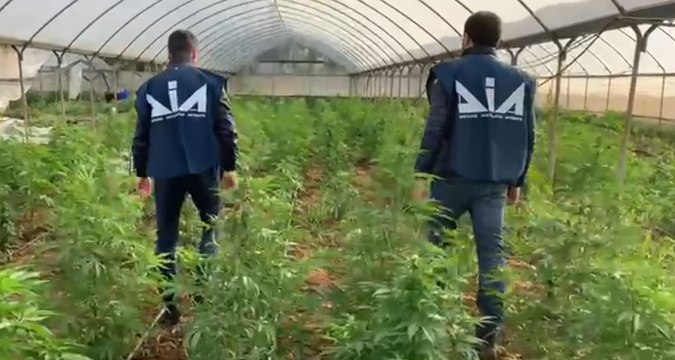 Traffico di droga e armi: 11 arresti in Puglia (08.06.22)