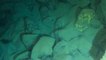 Dünyadaki en derin noktaya 12 saatte indi! Bilim insanının okyanusun dibinde gördüğü balığın adı: Cehennem Bombacısı