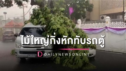 ส่องเลย! ทะเบียนรถตู้นักเรียน เจอกิ่งไม้ทำเนียบหักโค่นล้มทับ | HOTSHOT เดลินิวส์ 08/06/65