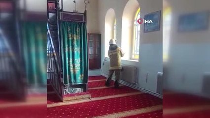 Camide yılan paniği