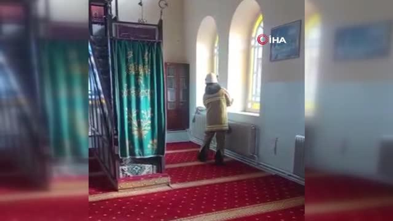 Camide yılan paniği