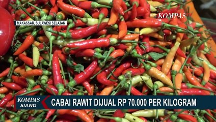 Melonjak Tinggi, Harga Cabai Rawit di Pasar Pabaeng-baeng Makassar Tembus Rp 70 Ribu