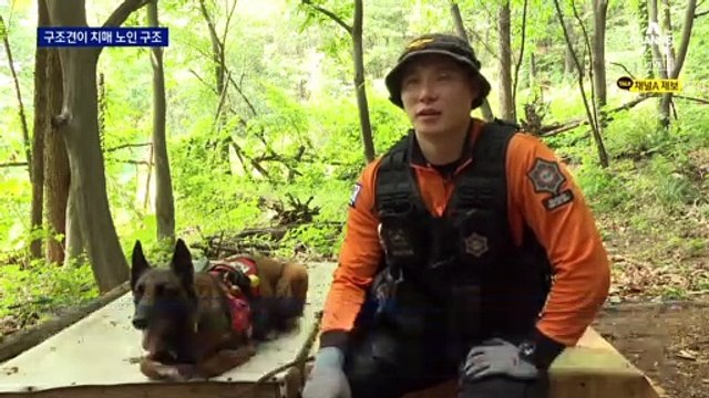 “전진, 실종 노인 찾아”…치매 노인, 1시간 만에 찾은 119구조견