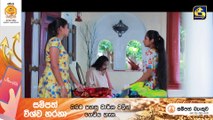 Nadagamkarayo - Episode 360 | Sinhala Teledrama
