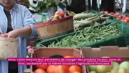 Pouvoir d'achat : le chèque alimentaire sera-t-il dédié aux aliments "sains et français ?"