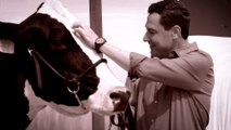 Moreno Bonilla visita a la vaca de 700 kilos que le dio 