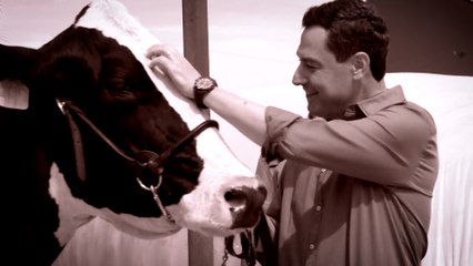 Moreno Bonilla visita a la vaca de 700 kilos que le dio "suerte" en 2018