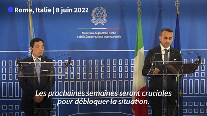 Ukraine: le blocage des ports pourrait tuer des "millions" de personnes, estime Rome