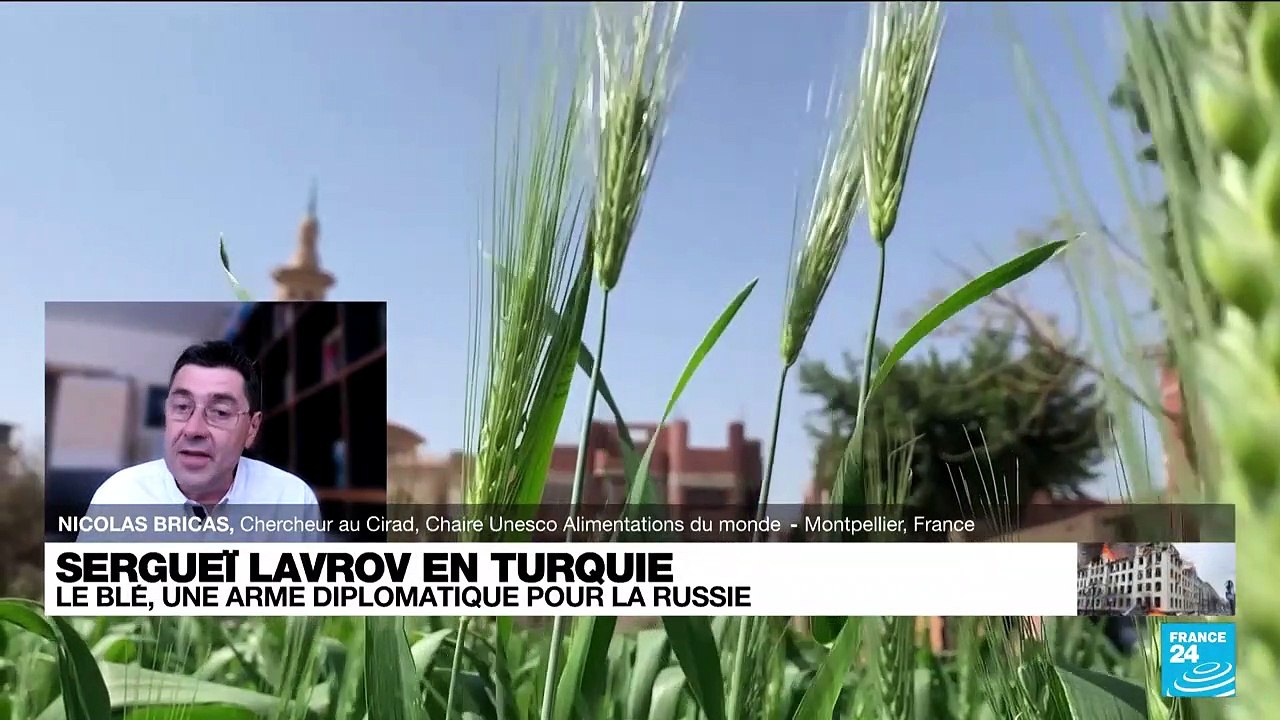 Guerre en Ukraine : le blé, une arme diplomatique pour la Russie