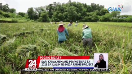 Ilang magsasaka, nangangamba raw sakaling ibaba ang presyo ng bigas dahil sa mahal ng produksyon | 24 Oras