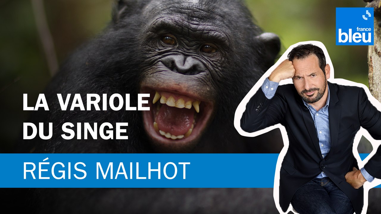 Régis Mailhot : La variole du singe
