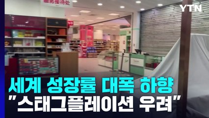 세계 경제성장률 4.1%→2.9%로 하향..."스태그플레이션 우려" / YTN