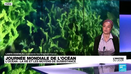Journée mondiale de l’océan : "on est dans une course contre la montre"