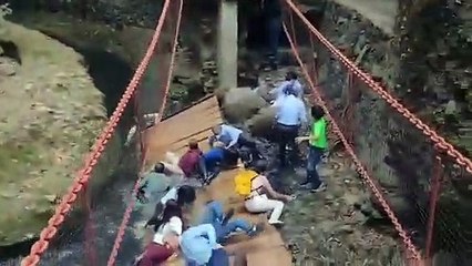 Colapsa un puente colgante en Cuernavaca, México, durante reinauguración